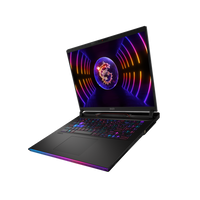 Notebook Gamer – MSI RAIDER – Notebook – 17.3
